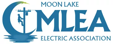 Moonlake Electric