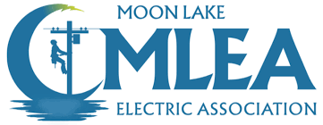 Moonlake Electric